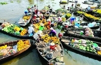 Về đất miệt vườn