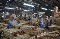 Gỗ sẽ chạm mốc 12 tỷ USD