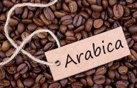 Giá cà phê arabica sẽ phục hồi trong năm 2020
