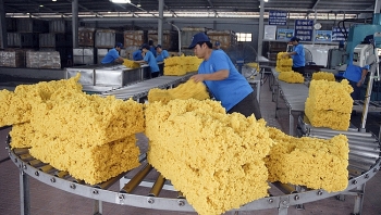 Xuất khẩu cao su: Tìm lời giải từ chứng chỉ FSC