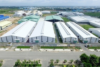 Hướng dẫn chức năng, cơ cấu tổ chức của Ban Quản lý khu công nghiệp