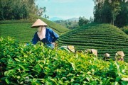 Tuyên Quang: Đột phá tạo lợi thế thu hút đầu tư
