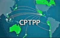 Thêm nhiều nước xem xét tham gia: CPTPP chứng tỏ sức hút