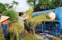 Hơn 60% hợp tác xã hoạt động hiệu quả