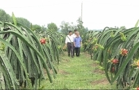 Đồng Nai: Đi đầu trong xây dựng nông thôn mới