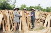 Quảng Trị: Lấp điểm trũng của khuyến công