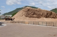 Dăm gỗ giảm giá