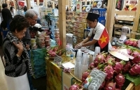 Xuất khẩu gián tiếp: Linh hoạt các giải pháp