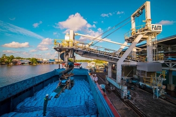 Phân bón Cà Mau: Chủ động xuất khẩu trong thời gian thấp vụ trong nước, dư thừa nguồn cung ure