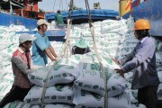 Doanh nghiệp xuất khẩu mở thị trường mới: Không dễ