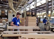 Xuất khẩu gỗ: Tăng trưởng ấn tượng