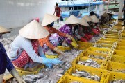 Quảng Ninh: Thêm nguồn lực đầu tư cho khuyến công