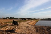 Bến Tre: Diêm dân không còn “mặn mà” với muối dù giá tăng cao
