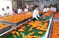 “Trái ngọt” từ xúc tiến thương mại