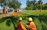 Năm 2019: PC Khánh Hòa nộp ngân sách đạt 153% kế hoạch