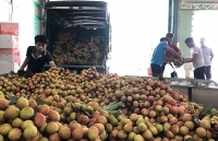 Khơi thông đầu ra cho nông sản