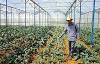 Tiêu chí kinh tế trang trại