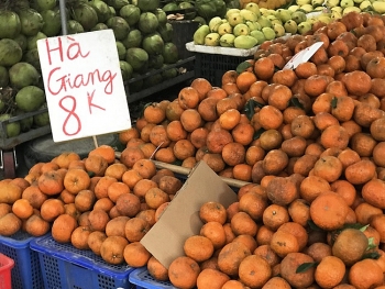 Cam sành đặc sản giá siêu rẻ 8.000 đồng/kg, tiểu thương tiết lộ sự thật