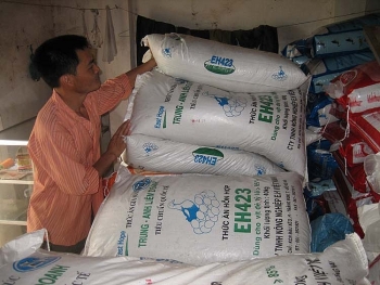 Việt Nam - thị trường lớn của các nhà xuất khẩu thức ăn chăn nuôi và nguyên liệu