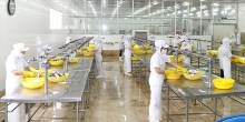 Xuất khẩu cá ngừ bị gián đoạn