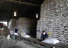 Giá gạo xuất khẩu của Việt Nam cao nhất trong ba tháng rưỡi