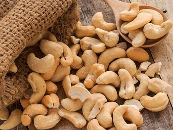 Giá thu mua hạt điều tươi tại Bình Phước giảm mạnh