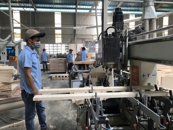 Kiểm soát chặt nguồn gốc để tăng tốc xuất khẩu gỗ sang Hoa Kỳ