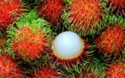 Chôm chôm khan hàng, giá cao kỷ lục