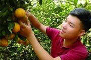 Khuyến khích đoàn viên thanh niên khởi nghiệp: Thực tiễn ở Bắc Giang