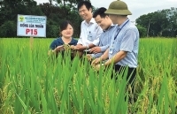 Bắc Giang: Đột phá trong sản xuất nông nghiệp
