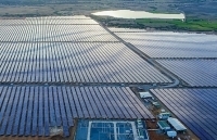 Cần sớm có giải pháp cho tình trạng quá tải điện mặt trời ở Ninh Thuận, Bình Thuận