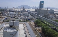 Cấp thiết sửa thuế giá trị gia tăng phân bón để gỡ khó cho ngành nông nghiệp