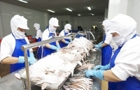 Xuất khẩu sang thị trường Mỹ và EU: Chưa có tín hiệu khả quan