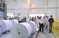 Cân bằng lợi ích kinh tế và môi trường: Bài toán “sống còn” của ngành Giấy