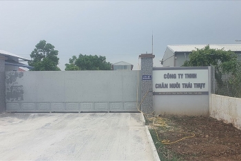 Hộp thư 6/4: Nhiều vi phạm về bảo vệ môi trường tại các địa phương