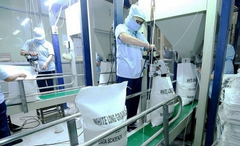 Xuất khẩu phục hồi mạnh mẽ