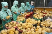 Rau quả khởi sắc: Đã xuất khẩu trên 1,4 tỷ USD