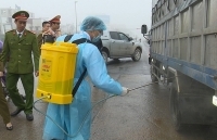 Không để thịt lợn nhiễm dịch đến tay người tiêu dùng