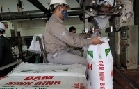 12 dự án thua lỗ thuộc ngành Công Thương: Năm 2020, sẽ xử lý dứt điểm các tồn đọng