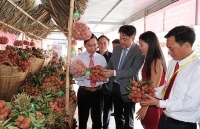 Xuất khẩu nông sản: Thích ứng bối cảnh mới