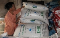 Sản xuất thức ăn chăn nuôi: Khủng hoảng thiếu nguyên liệu