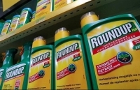 Chỉ sử dụng thuốc bảo vệ thực vật chứa hoạt chất glyphosate đến ngày 30/6/2021