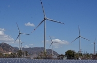 Ninh Thuận: Cất cánh nhờ năng lượng tái tạo