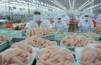 Ô tô Trường Hải rót hơn 400 tỉ đồng lập công ty sản xuất heo giống