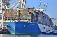 Algeria sẽ tiếp tục hạn chế nhập khẩu