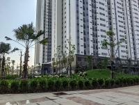 Đảm bảo các điều kiện phục vụ khi đưa người dân về sinh sống tại tòa nhà chung cư HH4 Đồng Quốc Bình