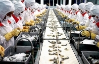 Xuất khẩu sang Singapore: Đa dạng chương trình hỗ trợ