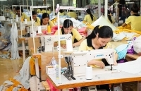 Ngành dệt may: Tiếp cận xu hướng tiêu dùng mới