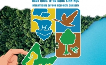 Bộ Công Thương hướng dẫn tổ chức các hoạt động vì môi trường và đa dạng sinh học năm 2021