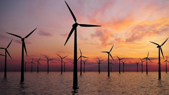 Cơ quan Năng lượng quốc tế báo cáo năng lượng tái tạo sẽ lập kỷ lục mới